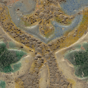 Tile,study Collection