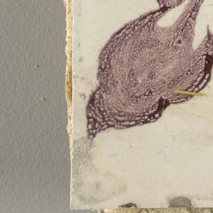 Tile Wall Facing (Netherlands), ca. 1725