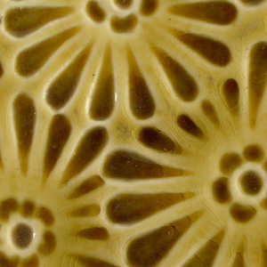 Tile (USA), late 19th century