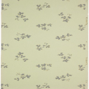 Ceiling (USA), 1905–15