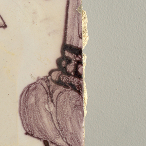 Tile Wall Facing (Netherlands), ca. 1725