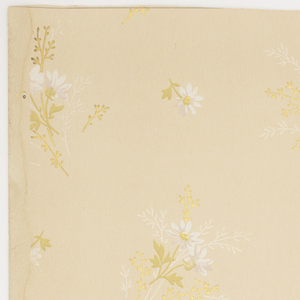 Ceiling Paper (USA), 1875–1925