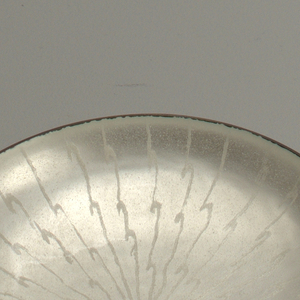 Dish