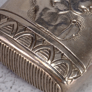 Medallion Decoration Matchsafe, 1885–95
