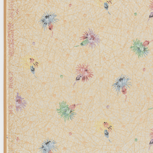 Ceiling Paper (USA), ca. 1900–40