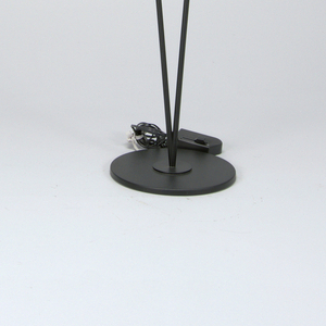 Shield, Bulb