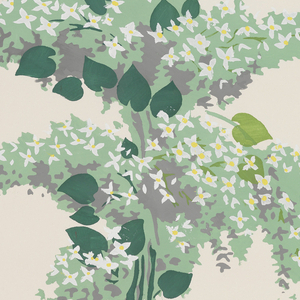 Sidewall, Belle-Rose, ca. 1950