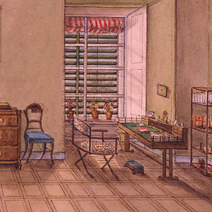 Drawing, Toni Hildprant