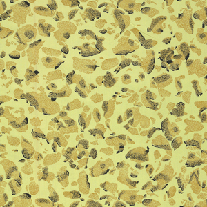 Textile, Glacial Imprint, 1953