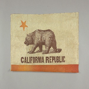 Flag (USA), 1890–1930