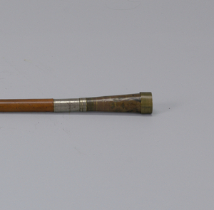 Cane