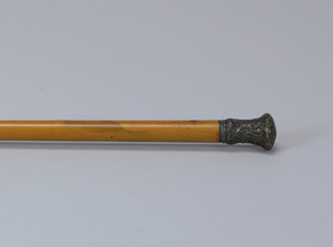 Cane