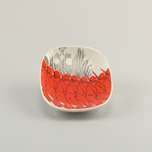 The Storm Plate, 1960–70