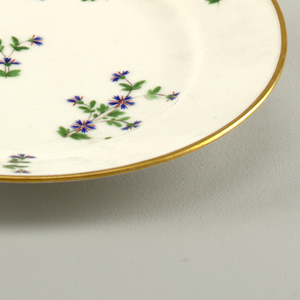 Plate