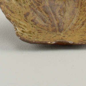Dish (Japan)