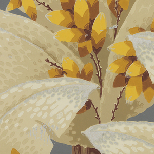 Sidewall (France), 1930–40