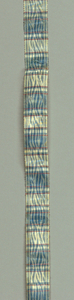 Ribbon (USA), mid-19th century
