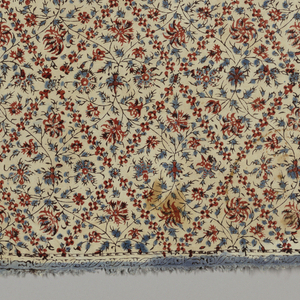 Shawl Fragment (India), 18th–early 19th century