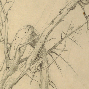 Drawing, Indian Encampment, Grand Manan, Bay of Fundy, September 1851