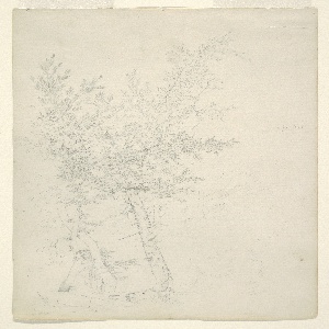 Drawing, A Group of Trees in  a Hilly Countryside, Recto: July 1844 and Verso: November 1844