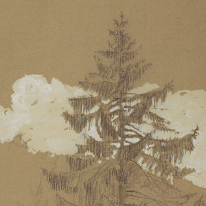 Drawing, Trees, Berchtesgaden, Bavaria, July 3, 1868