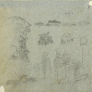 Drawing, Study with Tree Tops, Trees, Five Designs of Plants, and a Distant Island, ca. 1852–53