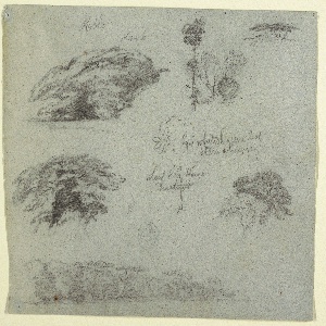Drawing, Trees, Tree Tops, and a Wooded Bank, Saddleback, Maine, 1853