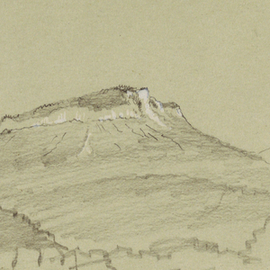 Drawing, A Tree, Bavaria, August 8, 1868