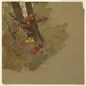 Drawing, Botanical Studies, 1860–70