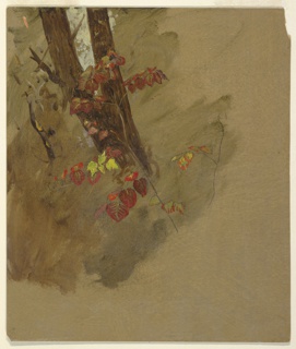 Drawing, Tree and Leaves