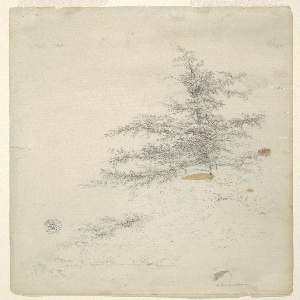 Drawing, Tree, Stream, July 1844