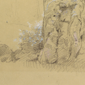 Drawing, Königssee Tree, July 16, 1868