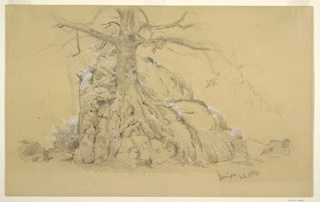 Drawing, Königssee Tree, Bavaria (Germany)