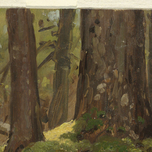 Drawing, Maine ? woods, 1855–65