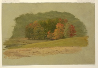 Drawing, Grove of Trees in Autumn, Vermont