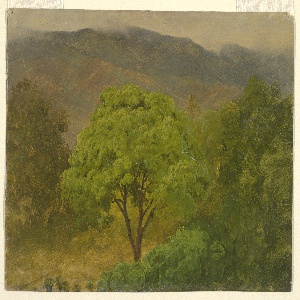 Drawing, Mountain Landscape, August 1865