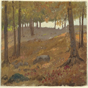 Drawing, Woods in autumn, 1870–80