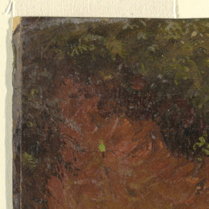 Drawing, Woodland bank, Jamaica, June 1865