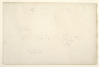 Drawing, Bull Drinking and a Yoke, Catskill, New York