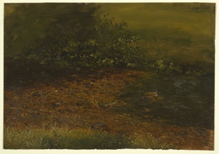 Drawing, Woodland Stream, Vermont