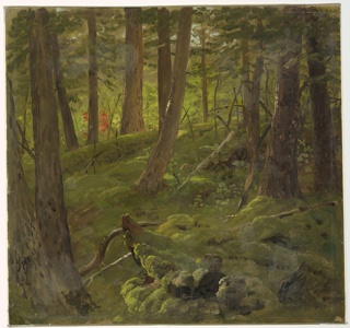 Drawing, Forest Scene