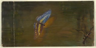 Drawing, Butterfly over Water