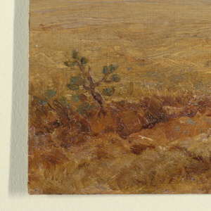 Drawing, Ecuador ?, mountain plateau with hut, 1890