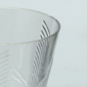 "Nautilus" pattern Glass