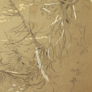 Drawing, Detail View of the Edge of the Canadian bank, August 1858