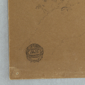 Drawing, Rugged Tree at the Canadian Bank below Niagara Falls, September 1856