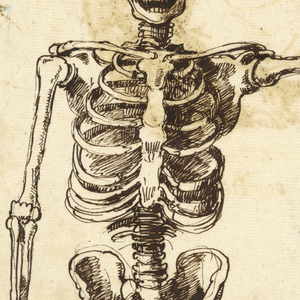 Drawing (Italy)