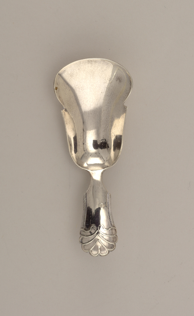 Tea Scoop (Netherlands)