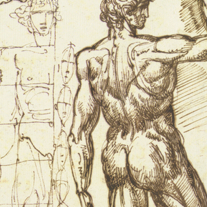Drawing, Studies of Male Nudes