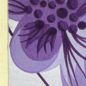 Drawing, Textile Design: Stiefmütterchen (Pansy), 1922